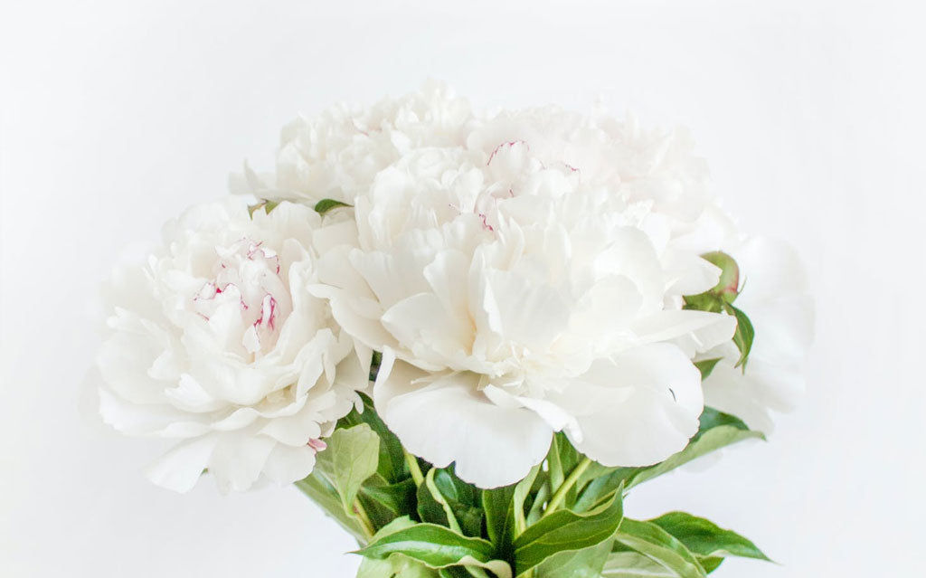 Benefits of flowers with human health
